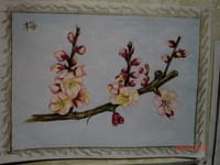 アマリリスは一休み 色鉛筆の梅の花など(1134)