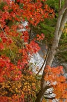 恵庭渓谷紅葉と滝２