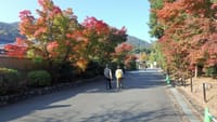 ☆ツアー客嵐山紅葉見物はこの寺院からがセオリーか？【天龍寺】