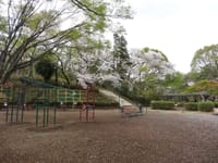 2021-03-29府中黒金公園