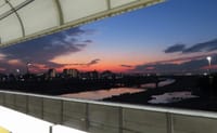 写真は、二子玉川駅からの夕景、自然教育園の池と秋、自然教育園のカワセミ