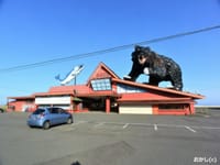 屋根に巨大クマだ　!