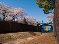  【緊急企画】 3/25 大川で花見🌸庭園観賞💐 ウォーキング🚶‍♂️