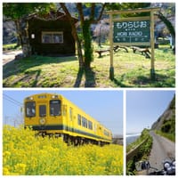 【中止】小湊鉄道と菜の花ツーリング