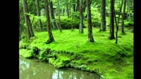 京都に行ったら絶対見たい仏像・美しい建築と庭園