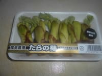 「新玉葱とコンビーフ蒸し焼き」＆「たらの芽の天ぷら丼」