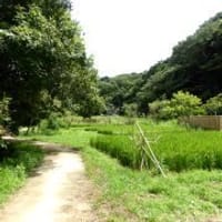 鎌倉広町緑地～江ノ島散策＆絶景ランチ