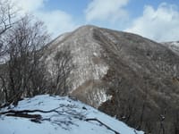 またもや山頂断念！雪の藤原岳・1144m（４月８日）