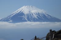 富士山五合目 ＆ 樹海散策 ドライブ
