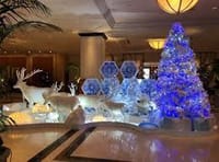 【MD♪】 クリスマスランチ in シルクロードダイニング (マリオットホテル奈良) 🌲🎂🍾🎁