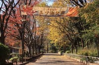 県立三ッ池公園の秋2017
