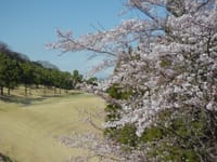 ＜３／２４＞　暖かい春の日差しを浴びて・・・・「吉井南陽台ゴルフコース」