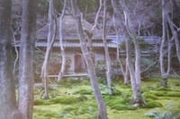 　奥嵯峨野の名刹「祇王寺」を訪れました。　
