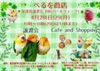 保護鳥譲渡会&ＢW(バードweek！)byべるを商店。