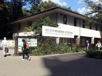 足立年金者組合「タウンウオーキング」自然教育園