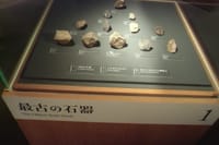 世界最古の石器見学