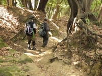 【ハイキングコース変更】☆<Bクラス>鎌倉天園から金沢市民の森ハイキング　 