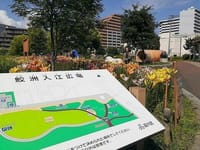 鮫洲入江広場の百合苑