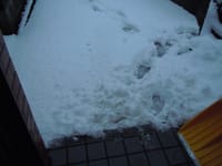 今年２回目の雪です。２０１８年２月２日（金）