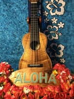 Aloha金ちゃん