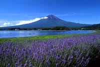 富士山とBBQを楽しむ初夏の週末 to 河口湖♪