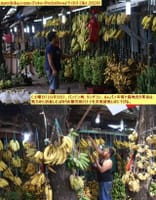 画像シリーズ225「祝賀やレセプション等催し事の禁止によりバナナの売り上げが急落」”Penjualan Pisang Anjlok Akibat Hajatan Dilarang“