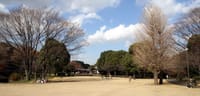 {中止とさせていただきます｝江戸城跡を始め数多くの史跡を巡り、都心の自然と文化を体感