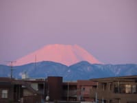 久本山から撮った３枚。淡い赤みを帯びた朝の富士山、日の出、朝の都心のタワー