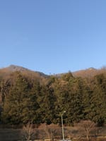 4月7日、カタクリの花と筑波山登山  (起土愛楽園と仲間たちと共催)