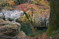 10月中旬　草津をベースに北関東・新潟・長野の紅葉を堪能しましょう。