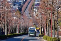 遅すぎるインバウンド対応　京都市営バス　2024.2.27