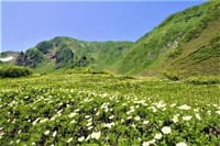 日本二百名山の百名山の秋田駒ヶ岳　1637m周遊コースと乳頭温泉・鶴の湯