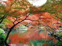 秋深まるおしゃれな街☆白金台☆で🍂紅葉散策👟ランチ&カフェ♪