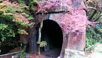 愛岐トンネル群　紅葉散策🍁