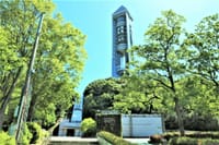 東山スカイタワーから見た動植物園の数カット 〔暇な年寄りのお遊びです😏😏〕