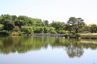 新緑が綺麗な昭和記念公園