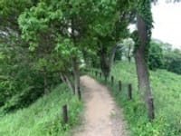 柿生～都県境の鶴川台尾根緑地～黒川の里を歩く 