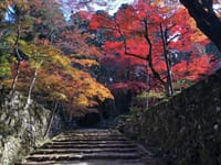 滋賀県へドライブ　西明寺の紅葉