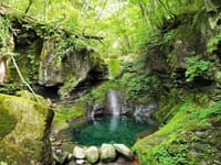 栃木県の秘境・おしらじの滝
