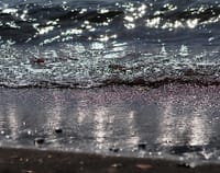 命の故郷の海の素晴らしさ；横須賀猿島の光る海