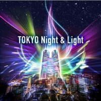 💖★「TOKYO Night & Light」★💖 東京都庁の壁面を彩るプロジェクションマッピングを鑑賞🎵　住友ビル 京鼎樓（ジンディンロウ）で美味しいコース料理ディナーも(^^♪