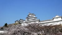 姫路城の桜　　　2021.3.29