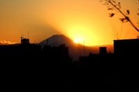 写真３枚は、目黒天空庭園からの日没の富士山、目黒天空庭園、渋谷公園通りの河津桜