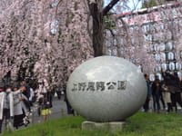 東京の春（２）
