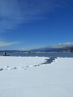 諏訪湖雪景色
