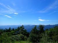 2020年8月11日松尾~日の出山～御嶽山レンゲショウマ