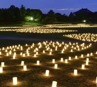 ✨夏の奈良「なら燈花会」🕯✨