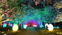 チームラボ 福岡城跡 光の祭 2019-2020