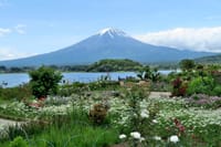 河口湖・大石公園からの富士山 2021-6-3