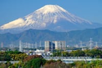 泉区の富士山ビューポイントから、相鉄11000系と富士山